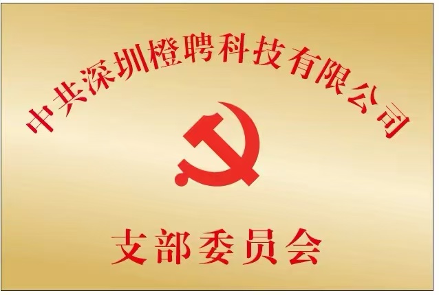 中共深圳橙聘科技有限公司支部委员会牌匾